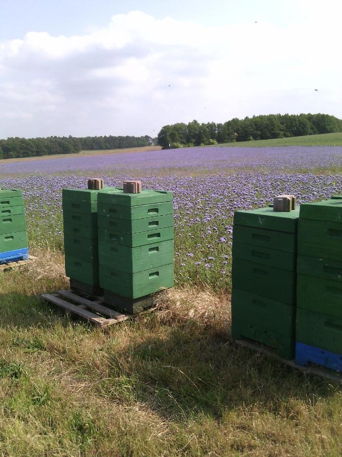 Вилла Kalmar 6 Kagsdorf Экстерьер фото